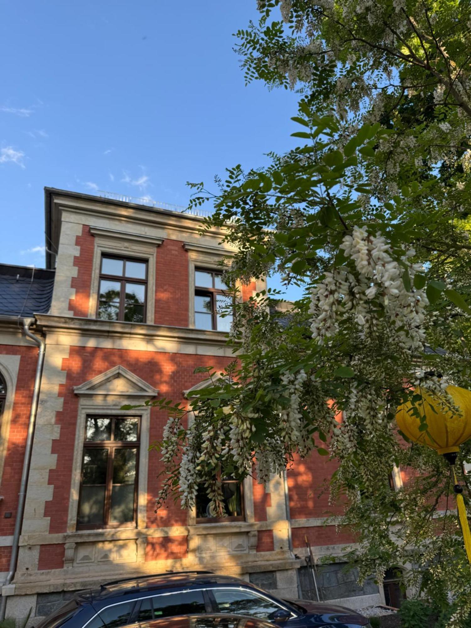 Aussergewoehnliche Ferienwohnung Stadtvilla Plauen Exterior photo